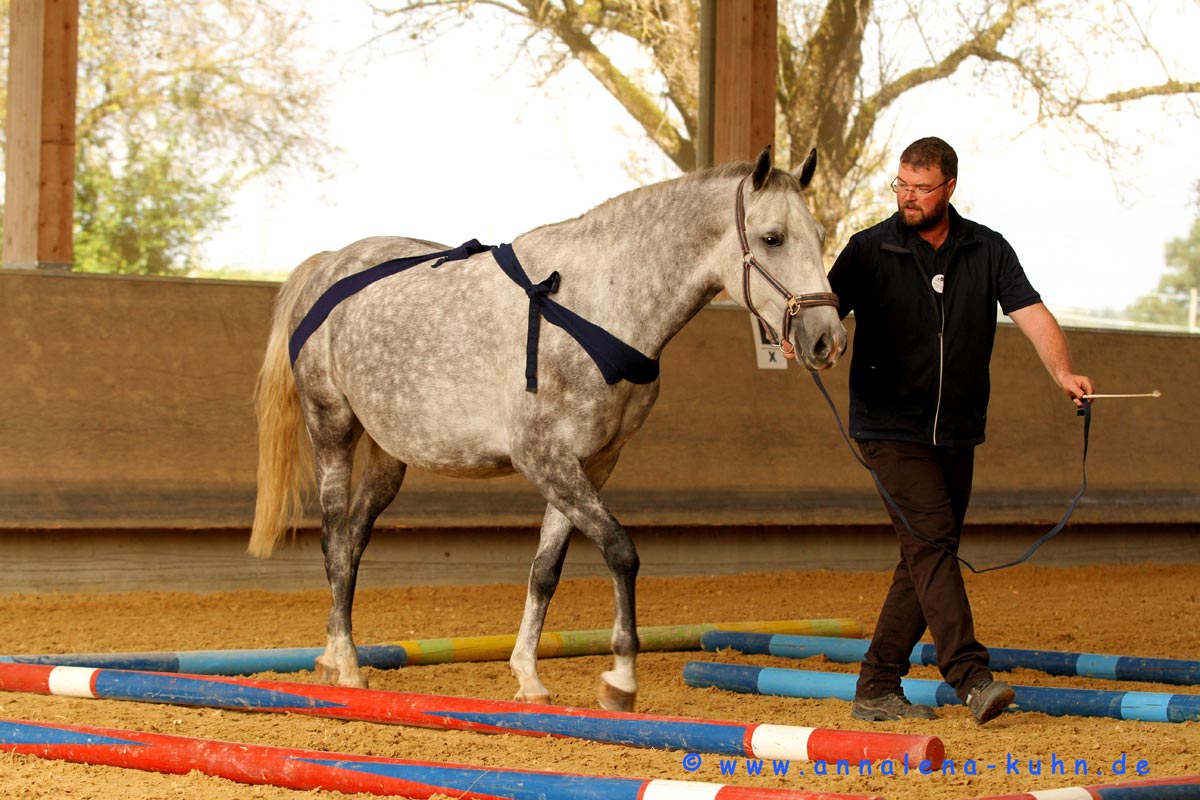 The Tellington Method for horses enhances the riding experience.