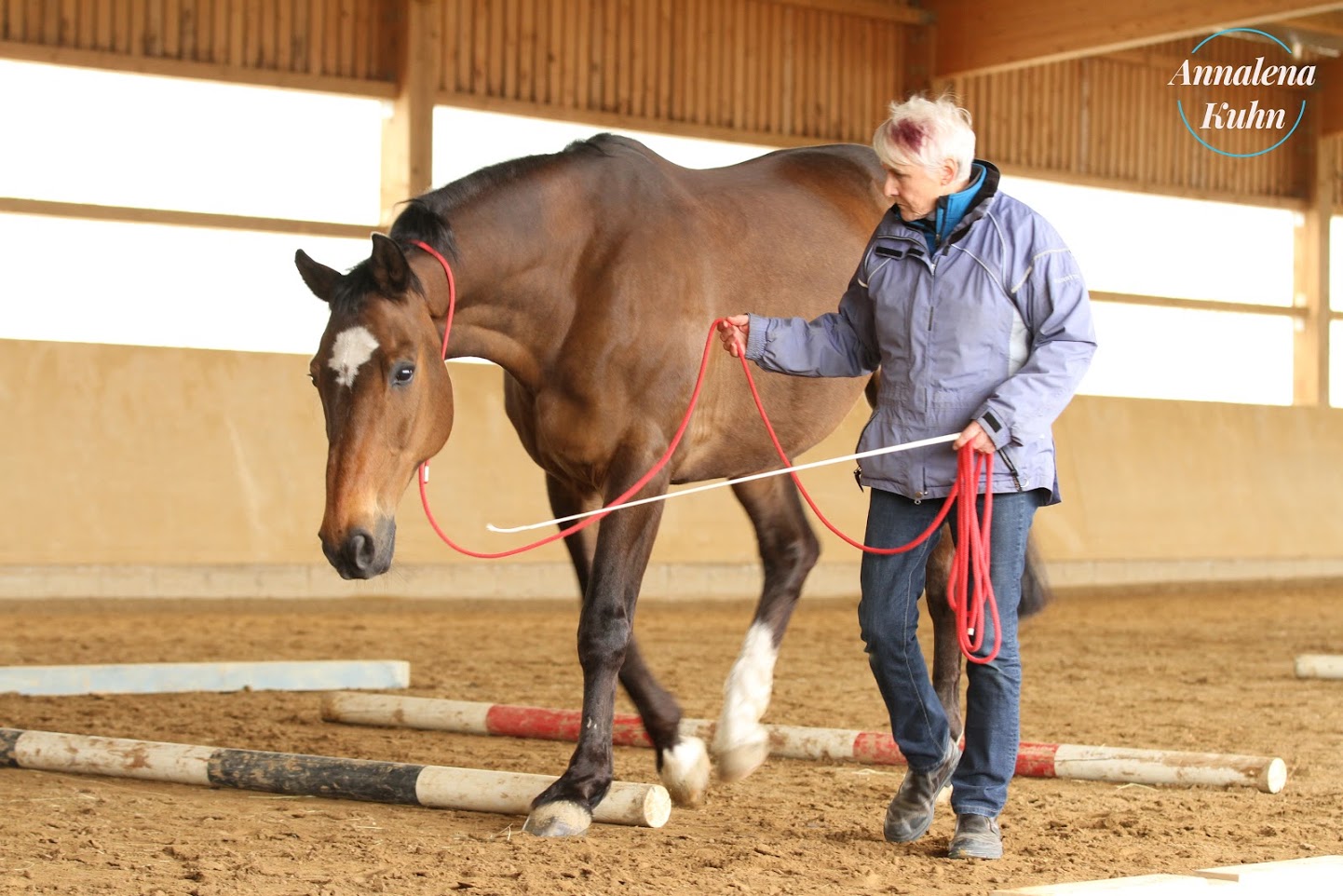 Increase partnership with your horse.